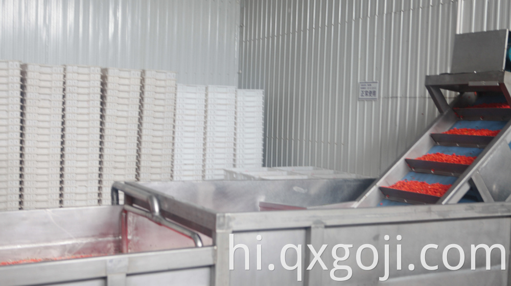 Professional Organic Goji Crude Juice